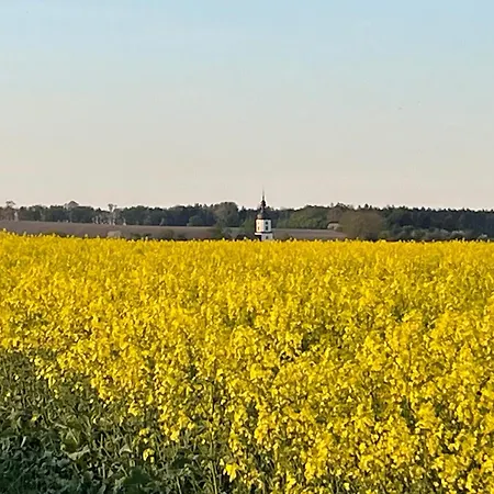 Zum Wohlfuehlen Am Zeulenrodaer Meer, Neu Gebaut, Klimatisiert Und Beheizbar *