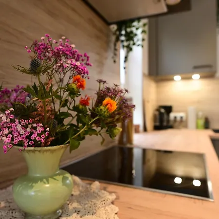 Modernes Ferienhaeuschen Am Zeulenrodaer Meer - Terrasse, Klimaanlage & Fussbodenheizung Appartamento